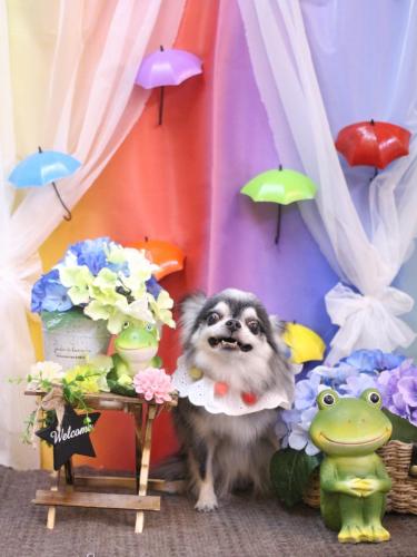 20230624クオンくん